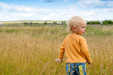 Similar image 118795