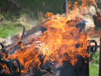 Similar image 118797