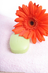 Similar image 118812