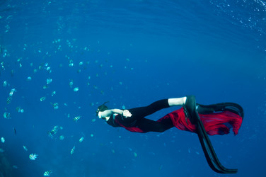 Similar image 118822