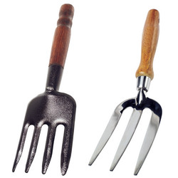 Similar image 118826