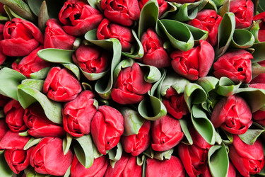 Similar image 118849