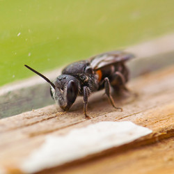 Similar image 118859