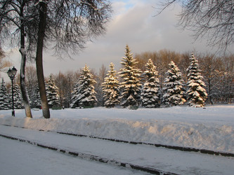 Similar image 118864