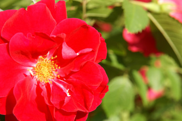 Similar image 118865