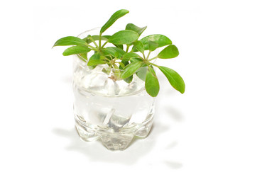 Similar image 118908