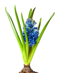 Similar image 118933