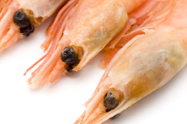 Similar image 118948