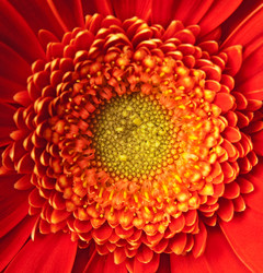 Similar image 118963