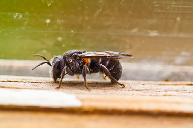 Similar image 119033