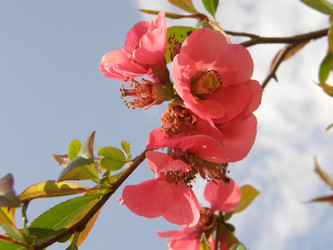 Similar image 119035