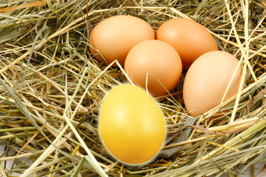 Similar image 119050