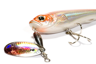 Similar image 119058