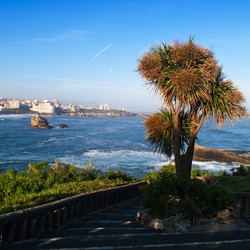 Similar image 119068