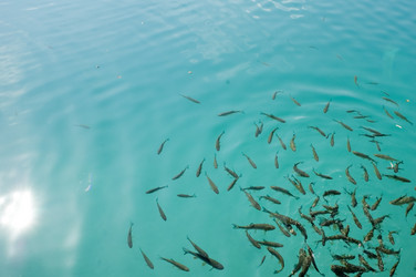 Similar image 119070