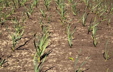 Similar image 119071