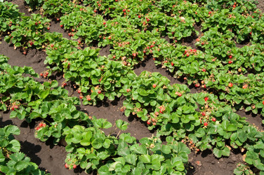 Similar image 119072