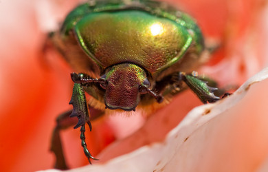 Similar image 119080