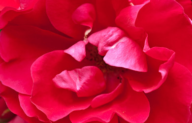 Similar image 119082