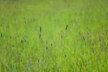 Similar image 119138