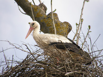 Similar image 119152