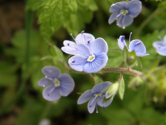 Similar image 119156