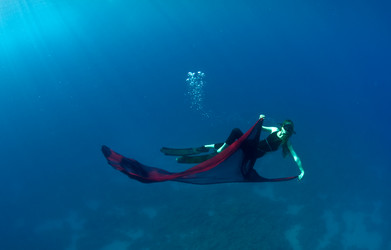 Similar image 119170