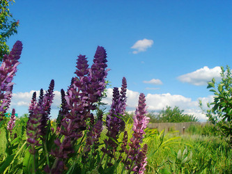 Similar image 119212