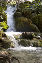 Similar image 119225