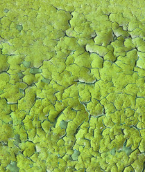 Similar image 119243