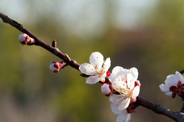 Similar image 119275