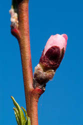 Similar image 119277