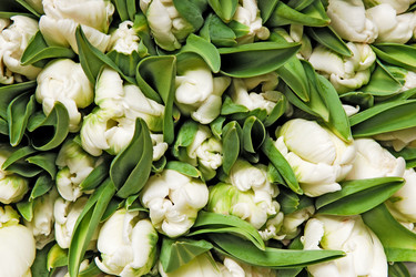 Similar image 119278