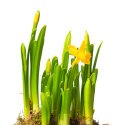 Similar image 119288