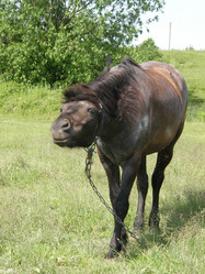 Similar image 119297