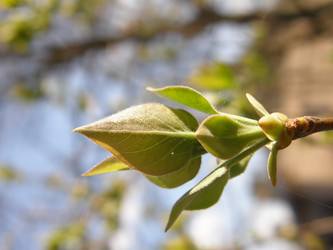 Similar image 119298