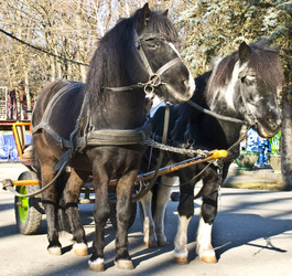 Similar image 119312