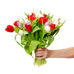 Similar image 119336