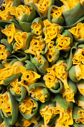 Similar image 119420