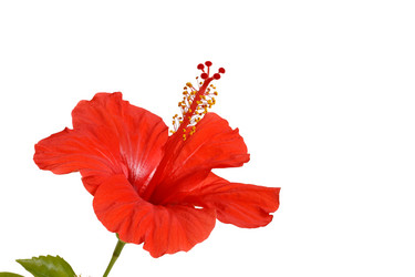 Similar image 119450