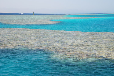 Similar image 119501