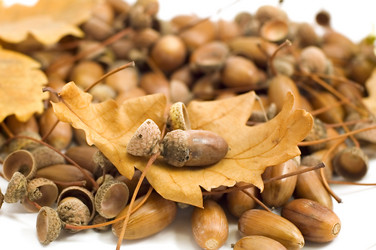 Similar image 119517