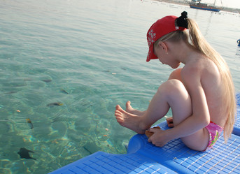 Similar image 119519