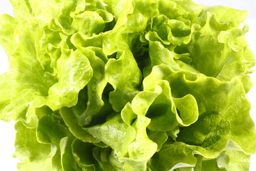 Similar image 119547