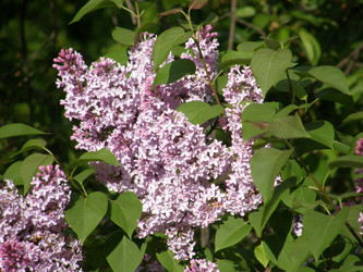 Similar image 119573