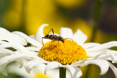 Similar image 119577