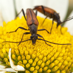 Similar image 119582