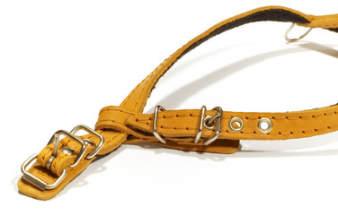 Similar image 119589