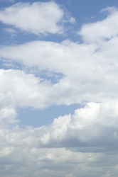 Similar image 119596