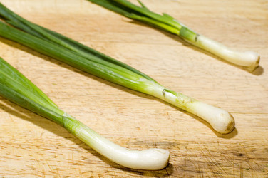 Similar image 119605